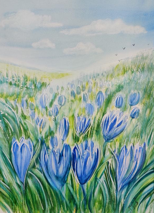 Kevätniitty (30x42,0)