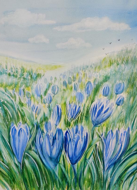 Kevätniitty (30x42,0)